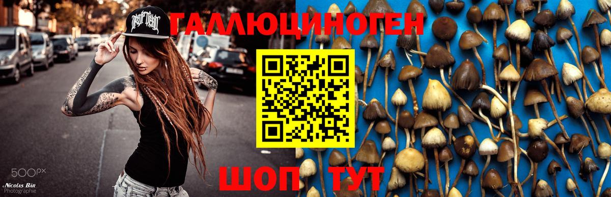 Псилоцибиновые грибы MAGIC MUSHROOMS  сколько стоит  Воркута  Вход с VPN 